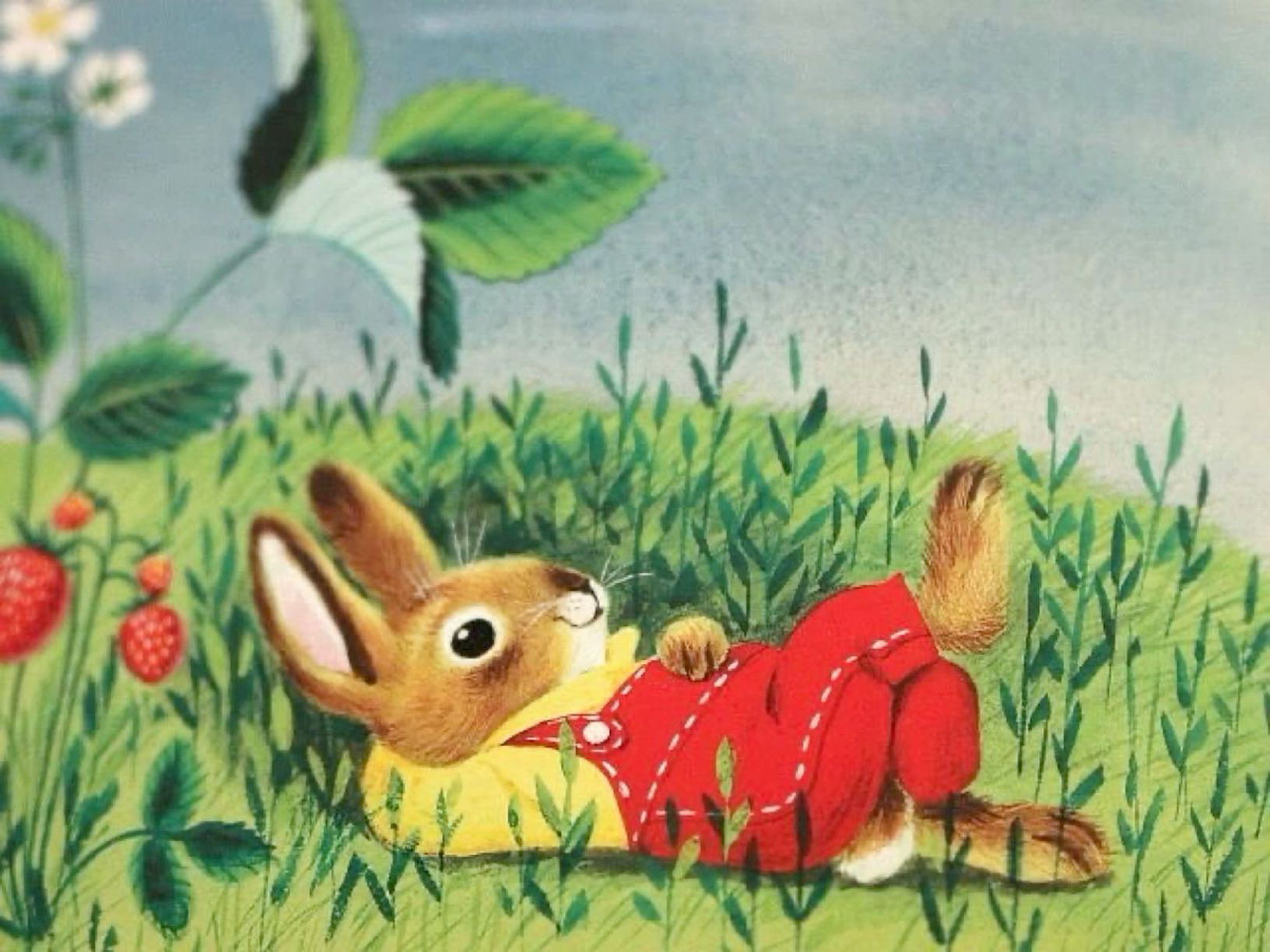 bunny
